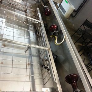 test tipografia industriale