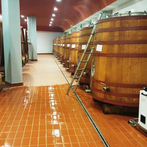 cantina deodorizzazione