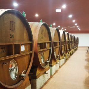 cantina deodorizzazione