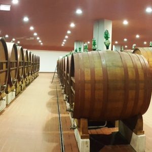 cantina deodorizzazione