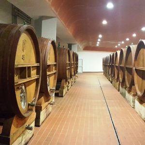 cantina deodorizzazione