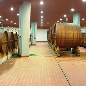 cantina deodorizzazione