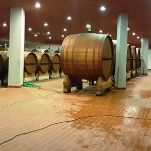 cantina deodorizzazione